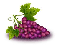 grapes bp - бесплатно png