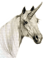 unicorn by nataliplus - PNG gratuit