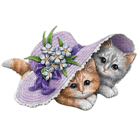 cats - Free PNG