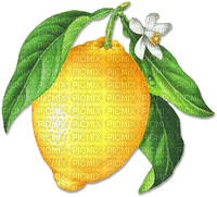 soave deco flowers summer lemon fruit yellow green - δωρεάν png