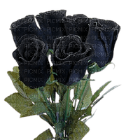 Black roses - png gratis