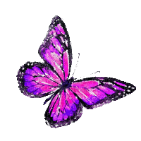 dolceluna watercolor animated butterfly purple - GIF เคลื่อนไหวฟรี