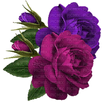 róże - Δωρεάν κινούμενο GIF