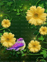 MMarcia gif flores e pássaro fundo - GIF animado gratis