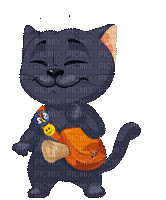 chat coquin - Darmowy animowany GIF