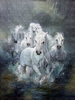 horses - PNG gratuit