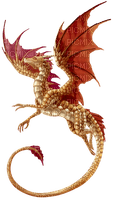 dragon laurachan - PNG gratuit