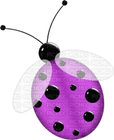 Kaz_Creations Deco Ladybug Ladybugs  Colours - png ฟรี