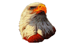 eagle bp - бесплатно png
