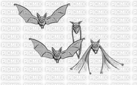 bats - GIF animado grátis