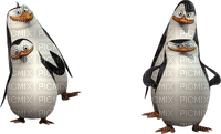 pingwiny z madagaskaru - nemokama png