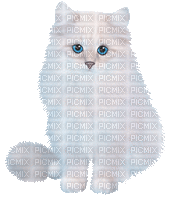 soave cat animals animated deco white blue - 免费动画 GIF