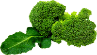gemüse vegetable - 免费PNG