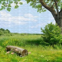background four katrin - 無料png