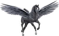 Pegasus - zdarma png