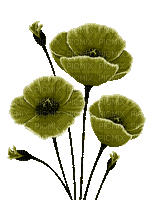 Flores verdes - Бесплатни анимирани ГИФ