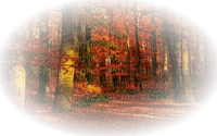autumn landscape automne paysage🍁 - PNG gratuit