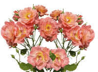 ruusu, kukka - PNG gratuit