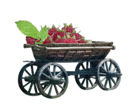 Raspberry Red Brown Green  - Bogusia - PNG gratuit
