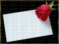 bg-black and white with red rose-400x300 - ilmainen png