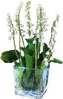 Blumen, Flowers, Maiglöckchen - Bezmaksas animēts GIF