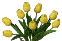 желтые тюльпаны - ücretsiz png