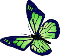 Butterfly- pages -2 - 無料png