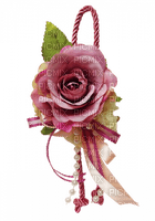 pink rose - ilmainen png