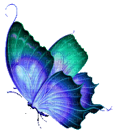 Y.A.M._Fantasy butterfly - GIF animé gratuit