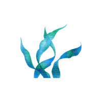 kikkapink deco scrap sea plant blue - nemokama png