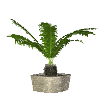 Bloemen en Planten - Free animated GIF