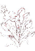 ani-röd-blomma - GIF animé gratuit