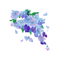 spring flowers blossom - Безплатен анимиран GIF
