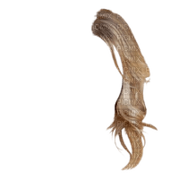 cheveux - Free PNG