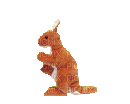 kangaroo beanie baby - 免费动画 GIF