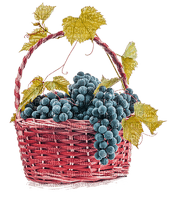 Grapes   Bb2 - kostenlos png