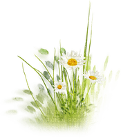 soave deco spring flowers grass daisy yellow green - zadarmo png