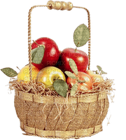 basket apples by nataliplus - ilmainen png