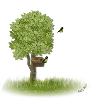 kikkapink tree spring bird - 免费PNG