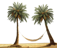 Palmiers - kostenlos png
