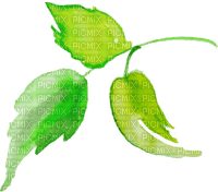watercolor leaves Bb2 - δωρεάν png