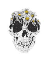 Skull and Daisies - Free PNG