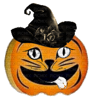 nbl-pumpkin - Darmowy animowany GIF
