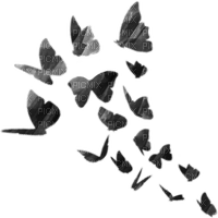 gradient butterflies - png grátis
