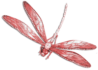 soave deco dragonfly pink - Free PNG