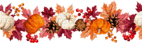 Autumn pumpkin border Bb2 - бесплатно png
