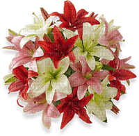 lilies Nitsa Papacon - δωρεάν png