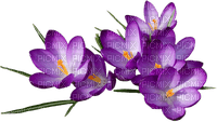 Kaz_Creations Deco Flowers Flower  Purple - png gratuito