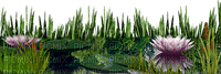 water lilies Bb2 - δωρεάν png