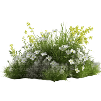 flower/shrub - Free PNG